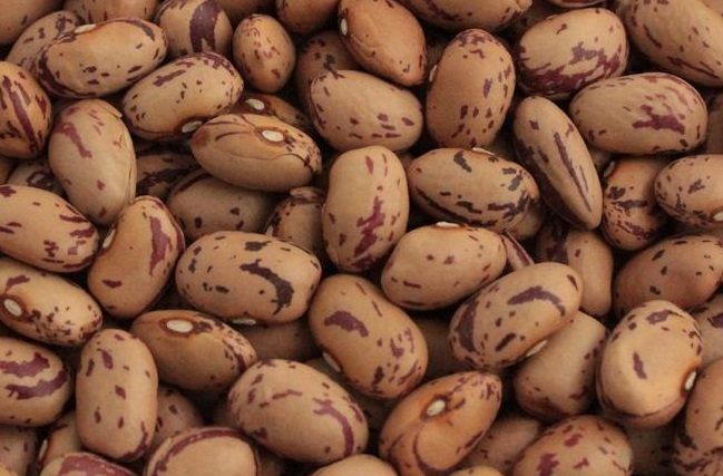Fattoria Dried Borlotti Beans 